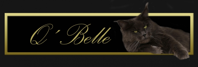 belle-titulo