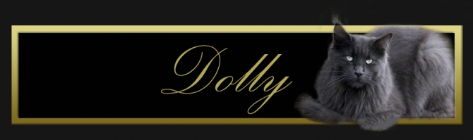 dolly-titulo
