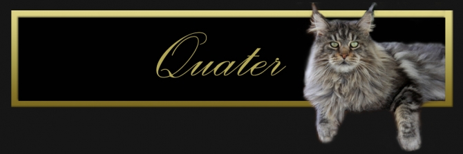 quater-titulo1